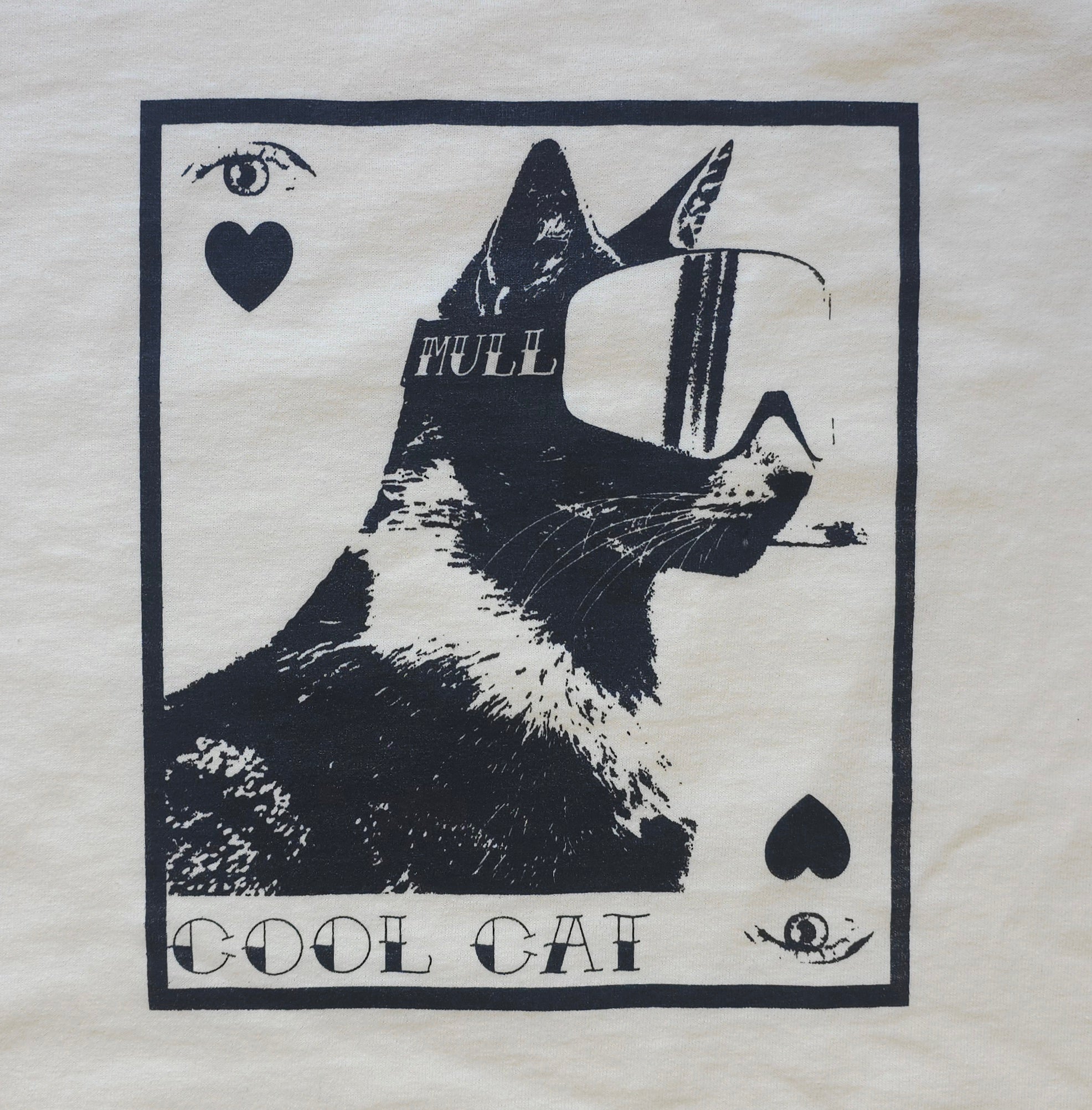 Cool Cat